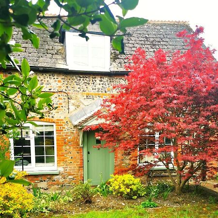 Historic, Traditional & Spacious Wiltshire Cottage Shrewton Eksteriør billede